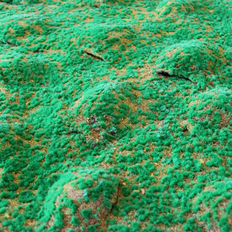 Manta Dark Green Moss en detalle