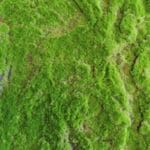 Artificial moss Fold moss in detail
