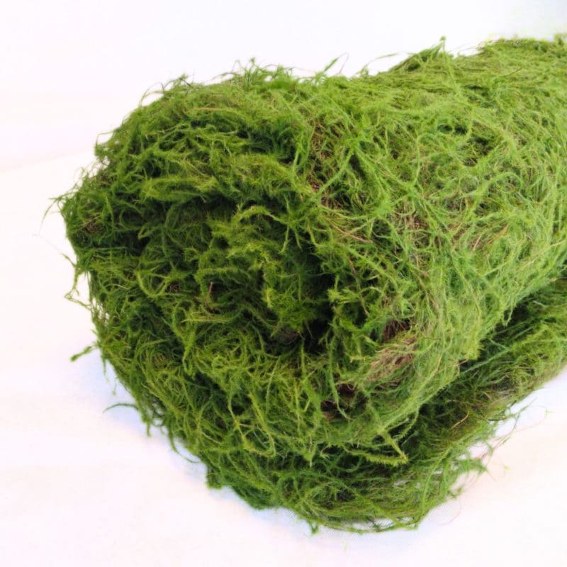 Musgo Artificial Fern Moss