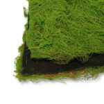 Artificial Moss Fern Moss