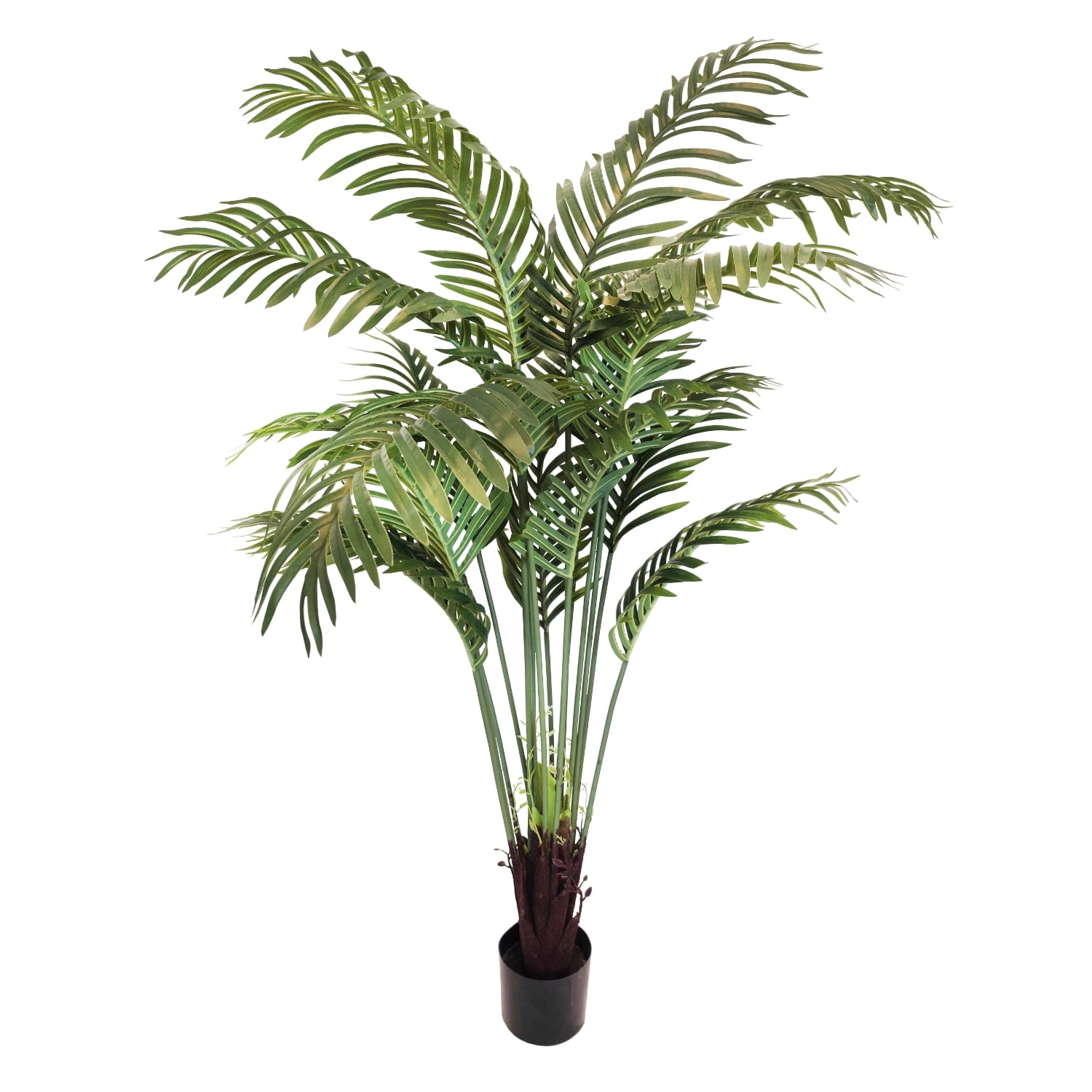 qball herbicide Q4 Plus Herbicide
